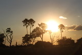 Beautiful sunset in the okavango delta savannah 
