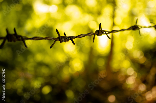 Barbed wire on bokeh background © Nathut