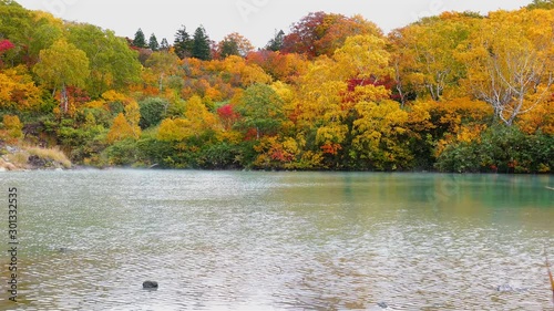 Wallpaper Mural View of the colorful foliage in autumn season swaying in the wind and waves of water moving at Jigokunuma Pond in Towada-Hachimantai National Park at Aomori Prefecture, Japan. Torontodigital.ca