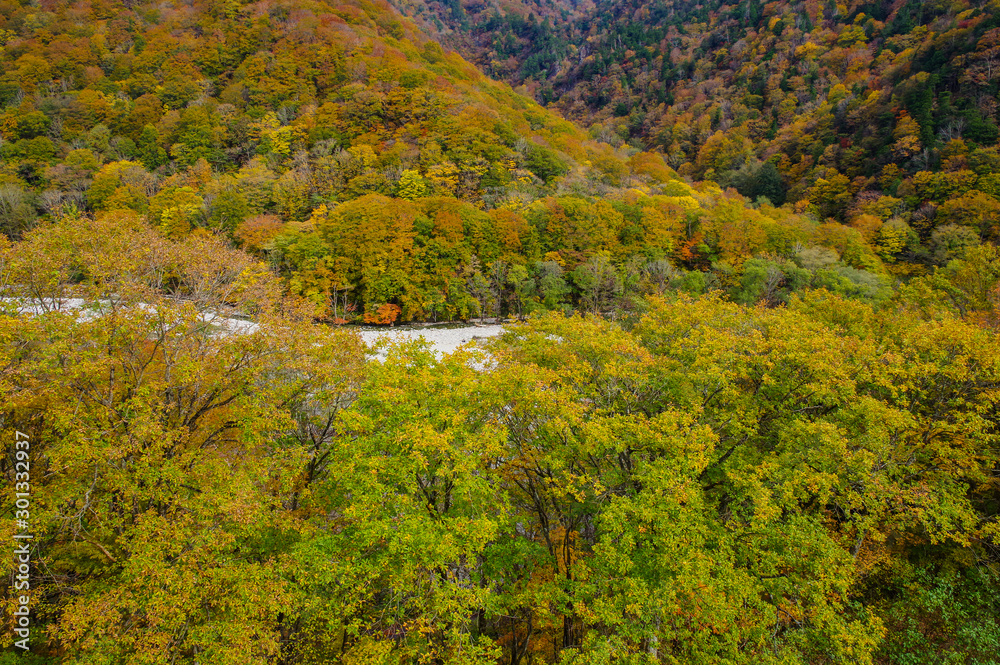 紅葉の山々と湯檜曽川