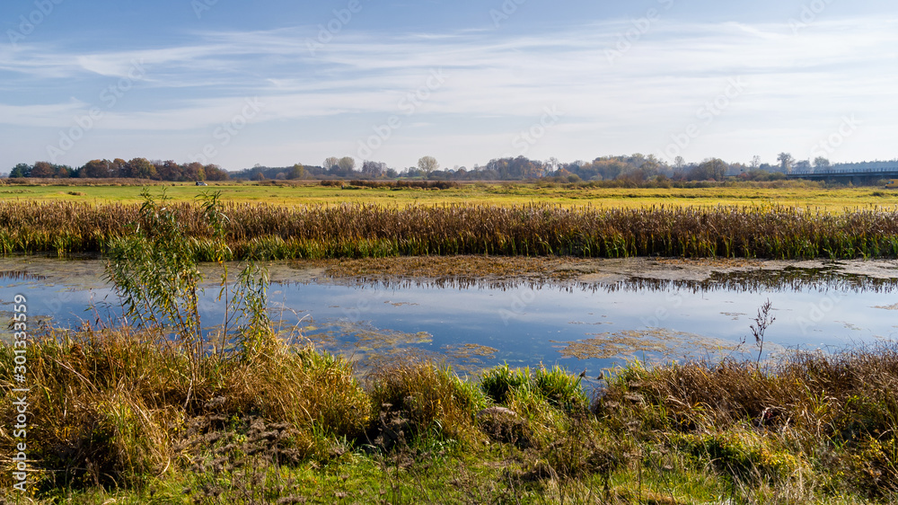 Jesień w Dolinie Górnej Narwi, Podlasie, Polska