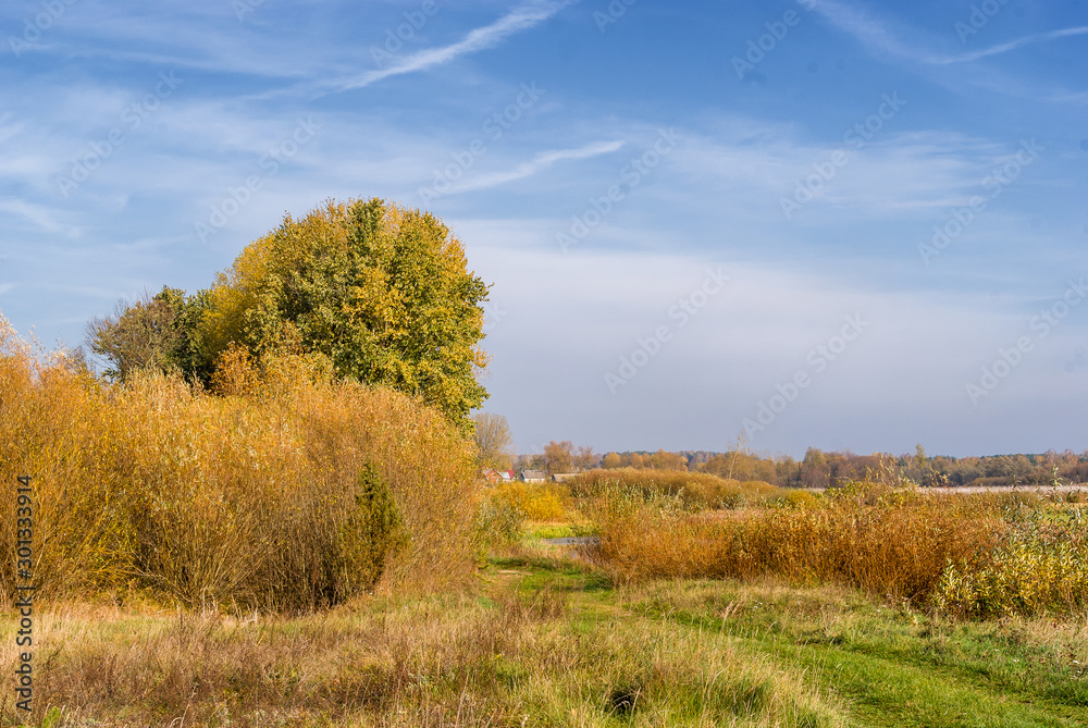 Jesień w Dolinie Górnej Narwi, Podlasie, Polska Jesień w Dolinie Górnej Narwi, Podlasie, Polska