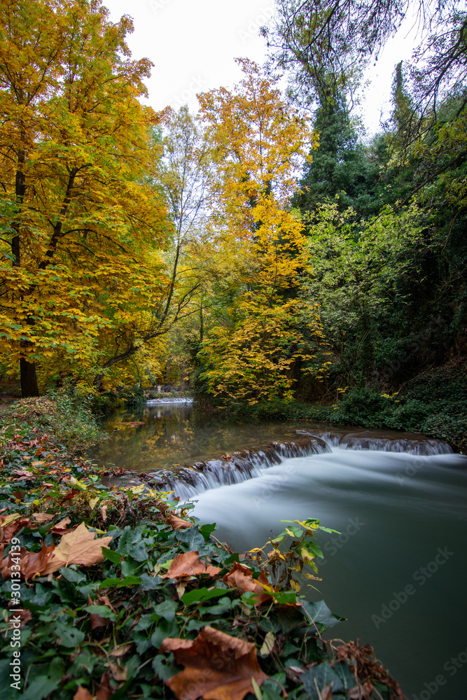 river with waterfall in the autumn season river with waterfall in the autumn season