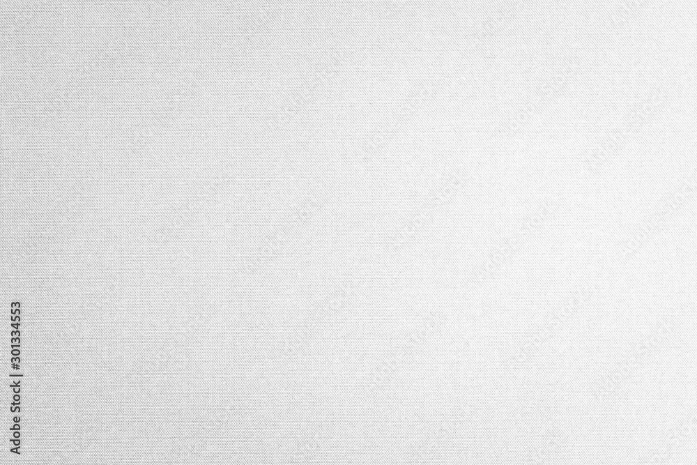 Fototapeta premium Fine authentic silk fabric wallpaper texture pattern background in white light grey color