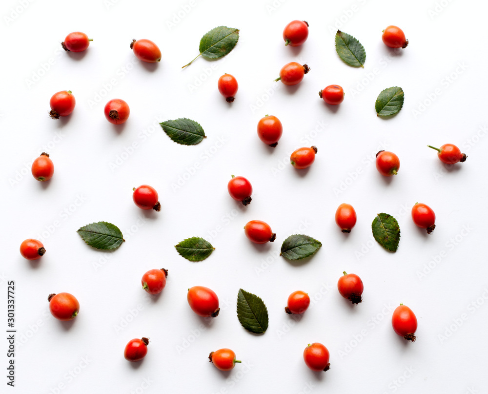 Autumn composition with red rose-hips on white table background. Fall, Halloween and Thanksgiving design. Flat lay, top view. Autumn composition with red rose-hips on white table background. Fall, Halloween and Thanksgiving design. Flat lay, top view.