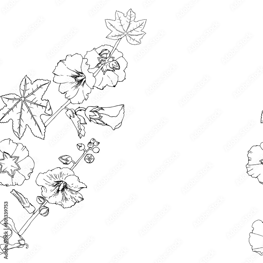 Malva seamless pattern Summer Flowers Sketches.