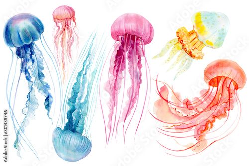 Photo set of jellyfish on an isolated white background, watercolor illustration, hand