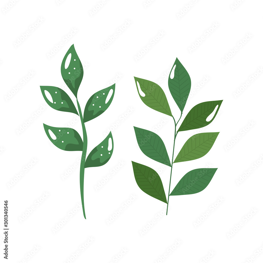branches with leafs nature ecology isolated icon vector illustration design