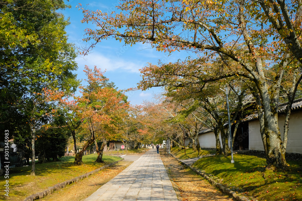 秋の醍醐寺参道