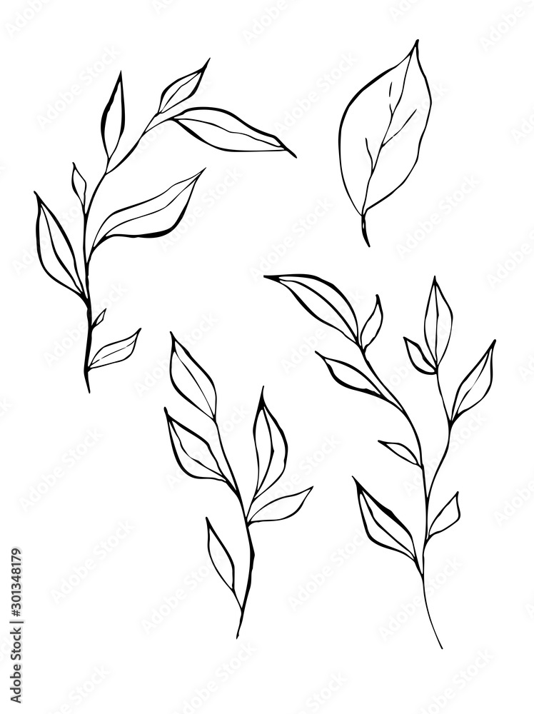 Graphic image of leaves and branches, hand-drawn with a pen and ink. Vector Graphic image of leaves and branches, hand-drawn with a pen and ink. Vector
