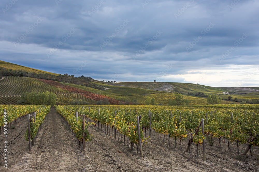 Obraz premium Prospettive autunnali