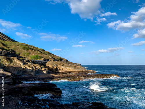 powerful shorebreak hawaii © DMYTRO