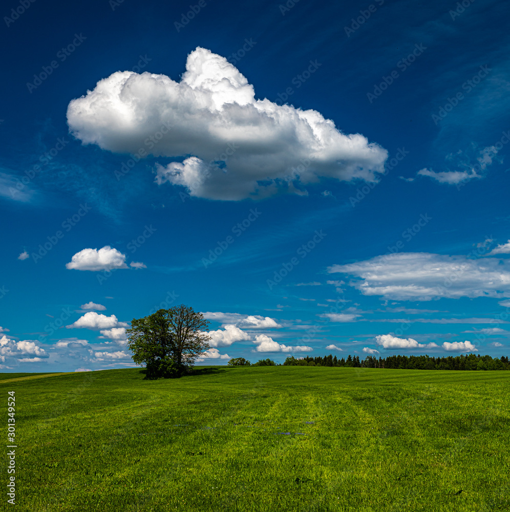 Obraz premium The sky and landscape in Bavaria, closed to the mountains the alps with beatufil clouds, fields and lakes 