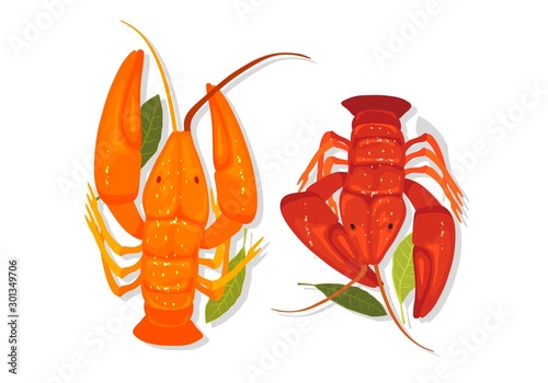 Seafood. Orange and red crawfishes, lobsters, crayfishes are with bay laurel leaves. Vector cartoon illustration isolated on white background for bar menu, cookbook, recipes, advertising.