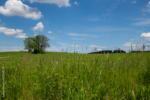 The sky and landscape in Bavaria  closed to the mountains the alps with beatufil clouds  fields and lakes  