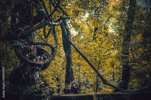 autumn in the park