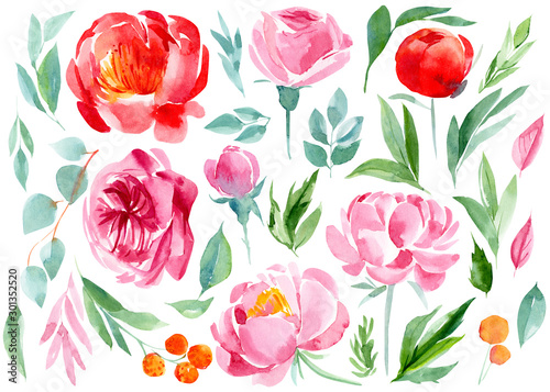 set of abstract flowers and leaves  peonies  roses  eucalyptus on an isolated white background  watercolor  hand-drawing