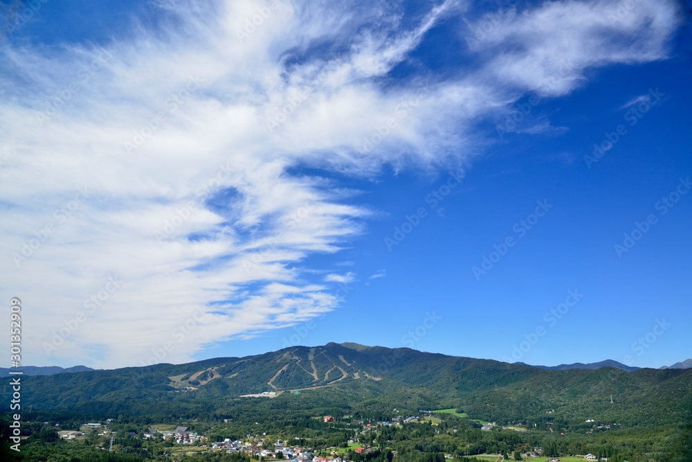 Fototapeta premium ひるがの高原