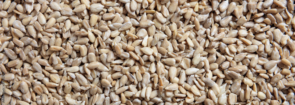 Obraz premium Sunflower seeds peeled full background, closeup view, banner