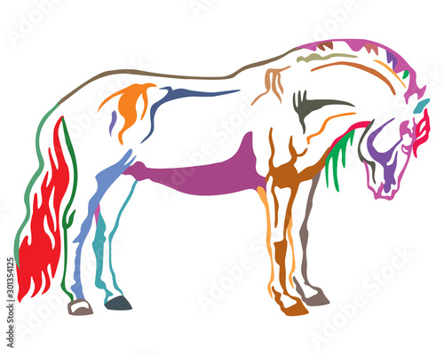 Colorful vector horse 2
