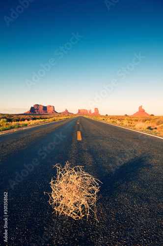 Lone tumbleweed sitting in the middle of a deserted highway leading through the red rocks of Monument Valley, USA