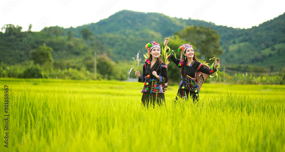 Obraz premium Hmong girl walking in the fields, verdant fields.