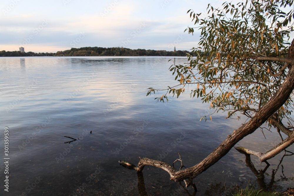 Herbst am Templiner See in Potsdam