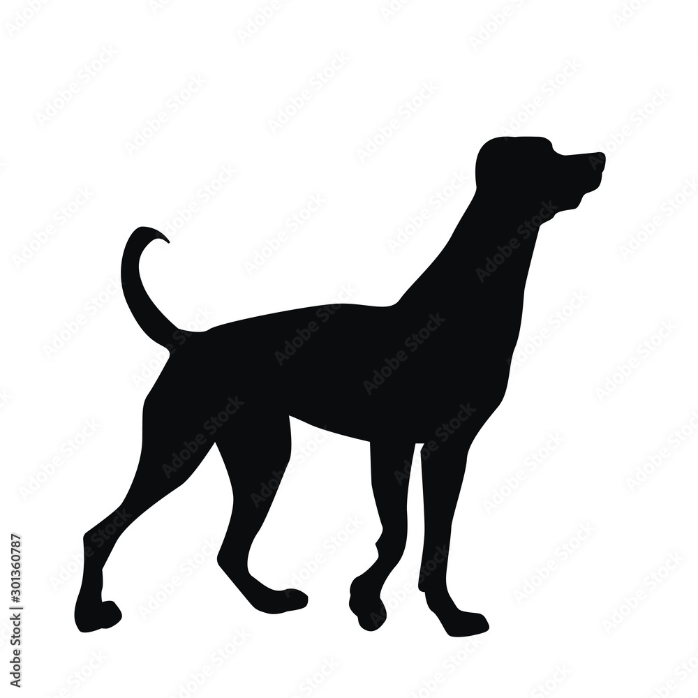 Dog silhouette, black, vector illustration