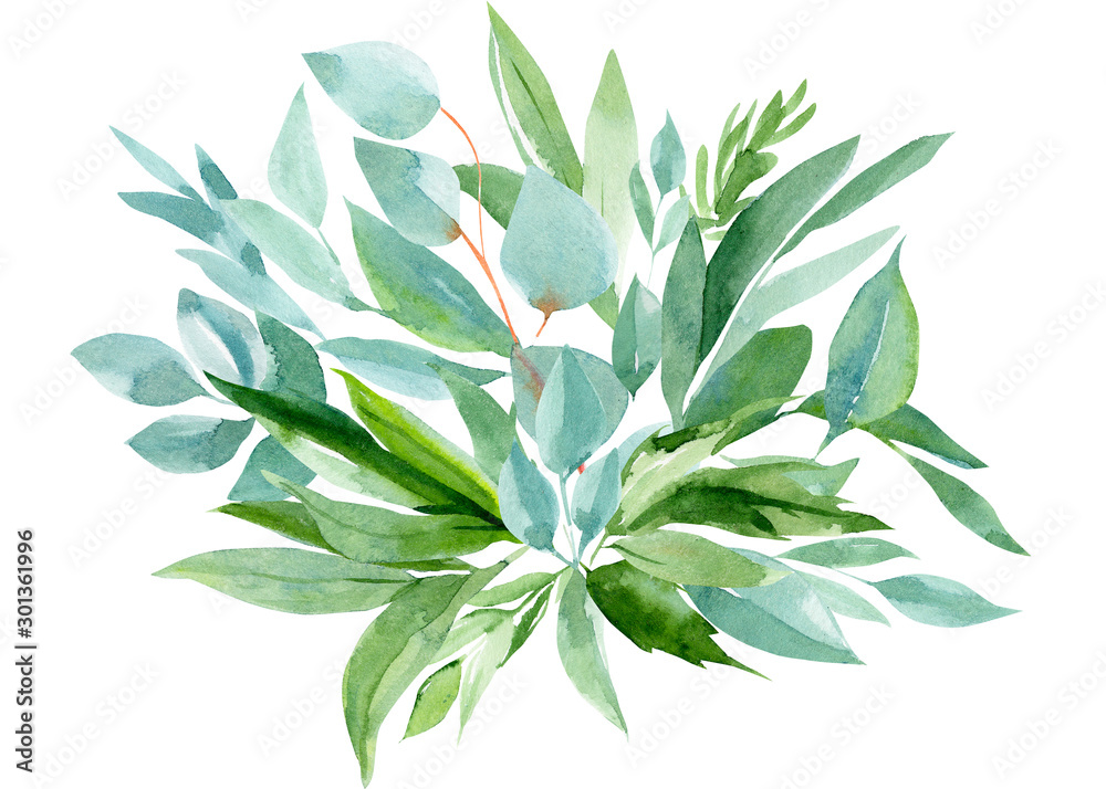 bouquet  of abstract leaves, eucalyptus on an isolated white background, watercolor, hand-drawing