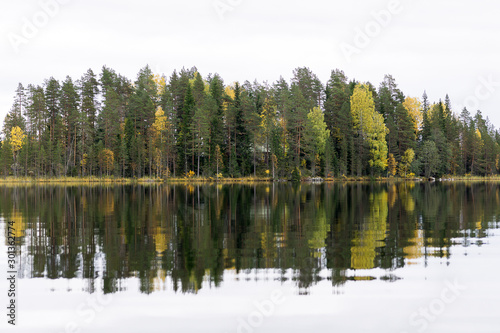 lake in the forest