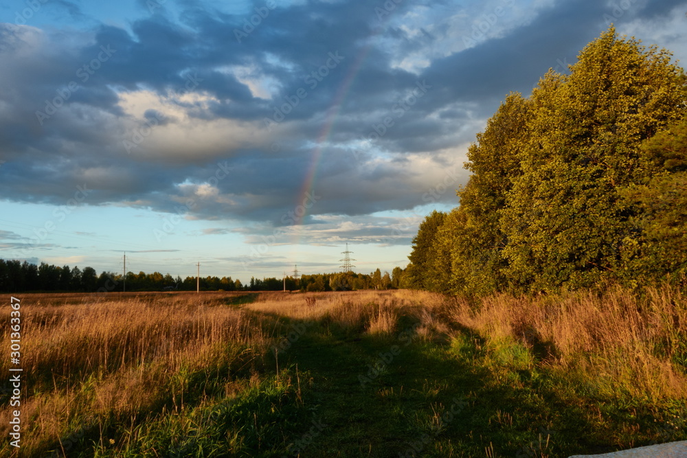 Obraz premium Rainbow