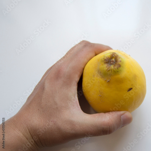 Male hand is holding organic quince on white background