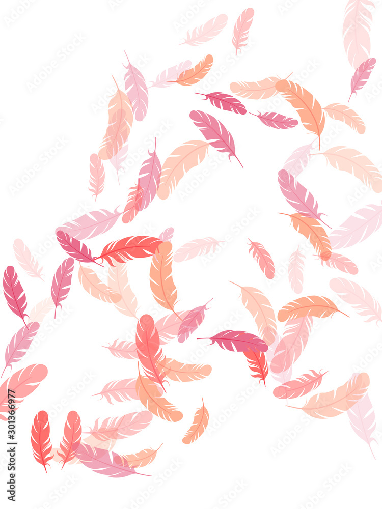 Detailed majestic feather on white design. Detailed majestic feather on white design.