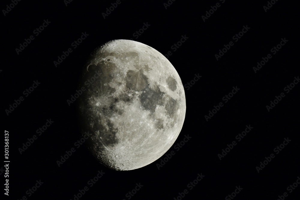 11月０８日　月齢１１.３１　２０時８分