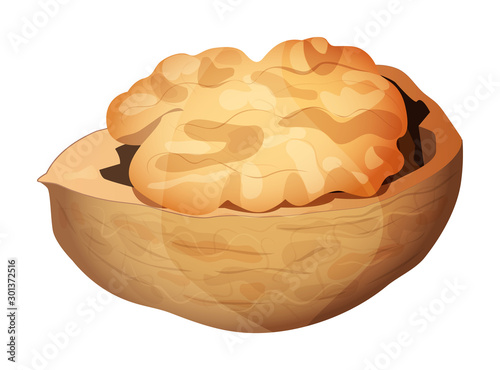 Cute cartoon walnut isolated on a white background. Vector illustration.