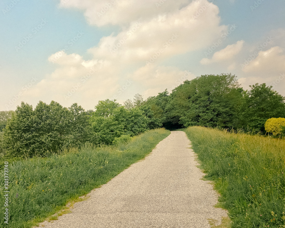A path with trees and grass on the side of a road A path with trees and grass on the side of a road