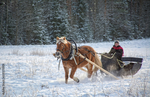 Woman and horse with sleigh in winter