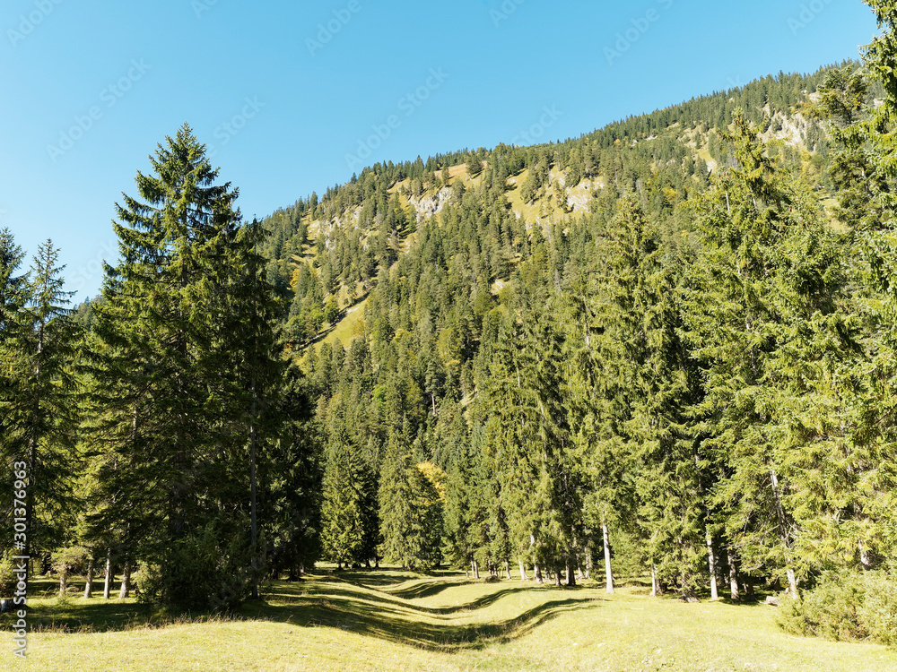 Österreich Landschaft. Naturpark Karwendel. Schöner Wanderweg zwischen Nadelbäumen und Almwiesen nach Gernalm 