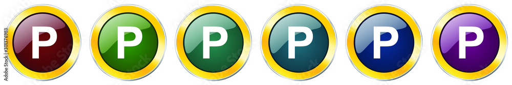 Parking glossy icon set, silver metallic golden vector illustrations in 6 options for web design and mobile applications