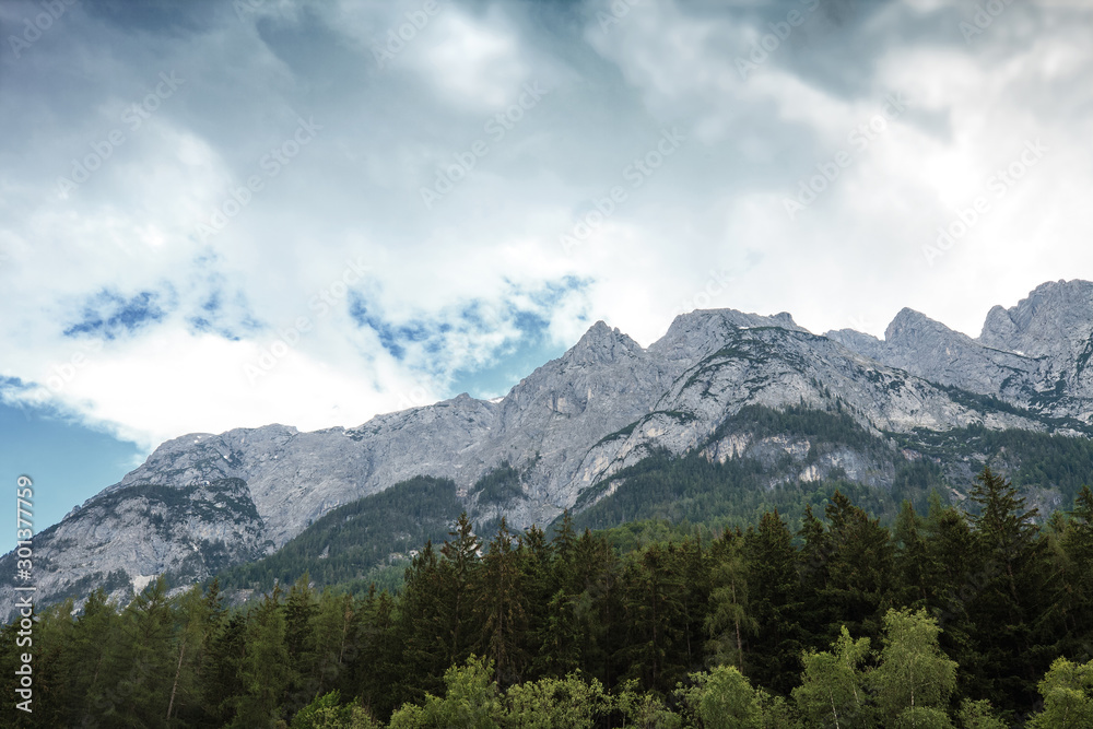 Obraz premium Summer landscape with european alps and pine forest in Austria