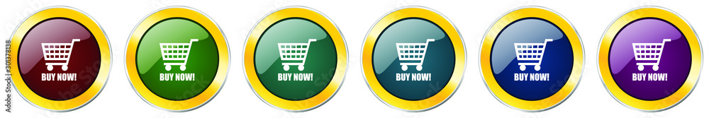 Buy now glossy icon set, silver metallic golden vector illustrations in 6 options for web design and mobile applications