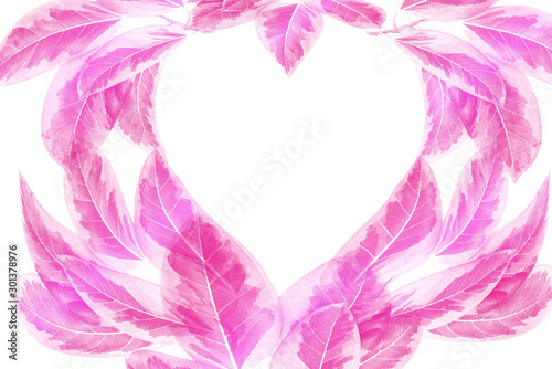 colorful leaves pattern,Pink autumn leaf with  heart-shaped isolated on white background,Valentines Day Concept