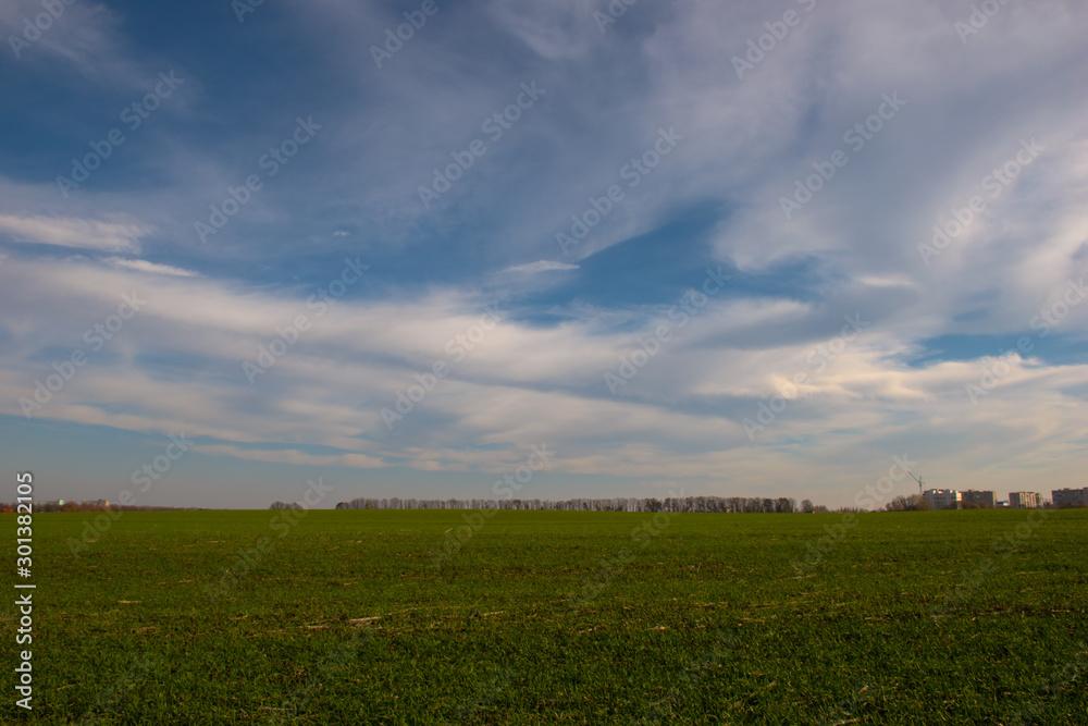 autumn field on a sunny day