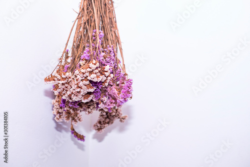 Statice flower hanging on white background 