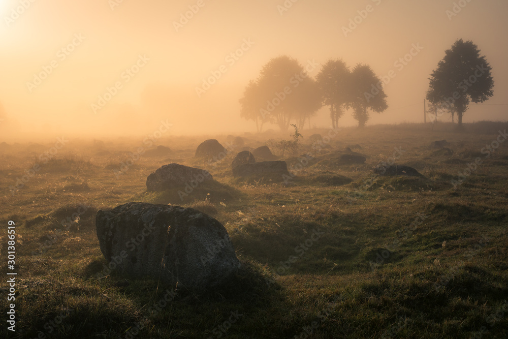 Foggy morning in the Glazowisko Rutka nature reserve in Suwalski Landscape Park, Podlaskie, Poland - obrazy, fototapety, plakaty 