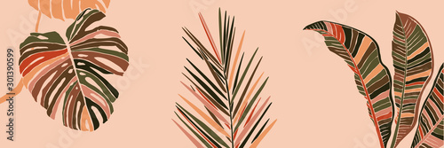Tropical Palm Leaves in a minimalist trendy style. Silhouette of a plant banana, monstera and Dypsis in a contemporary simple abstract style on pink background. Vector illustration collage.
