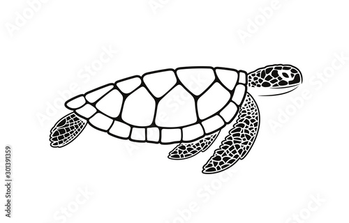 Sea turtle logo. Isolated turtle on white background. Reptile