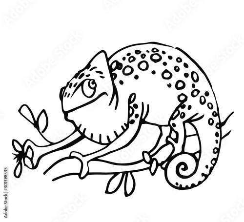 Cute spotted chameleon sits on a branch and caught a fly with its paw, vector illustration with black contour lines isolated on white background in hand drawn style.