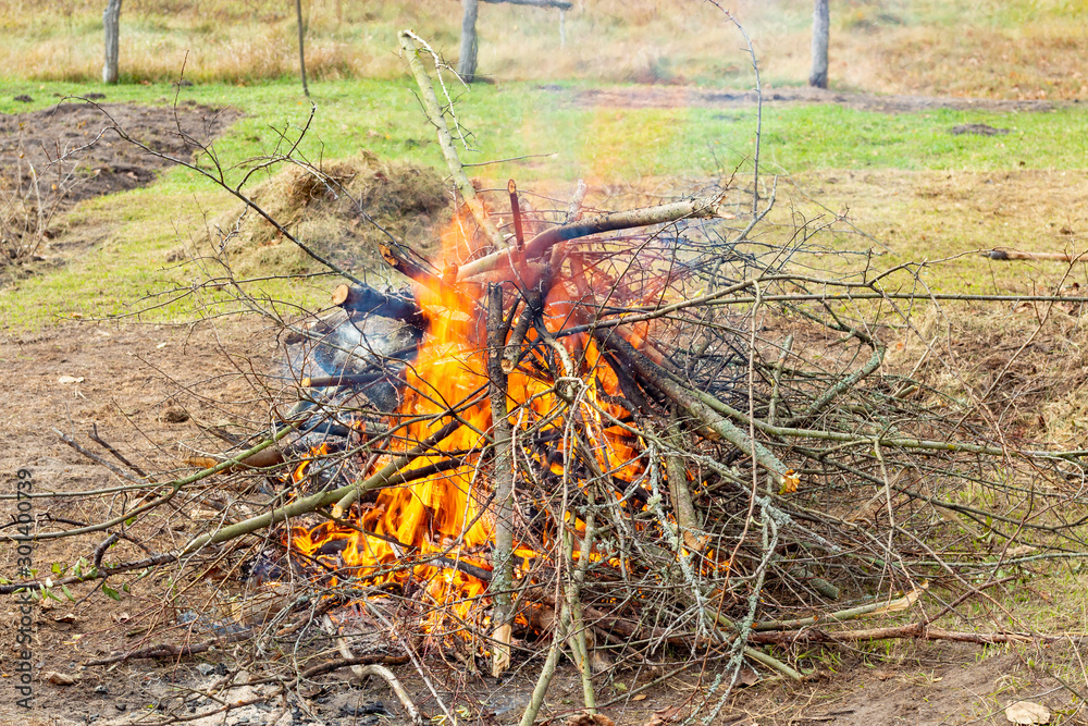 Burning autumn foliage and branches. Bonfire. Burning autumn foliage and branches. Bonfire.