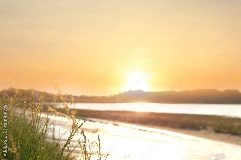 Picturesque landscape with beautiful sunlit lake, focus on grass